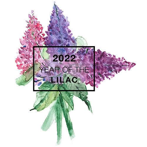 Year of the Lilac