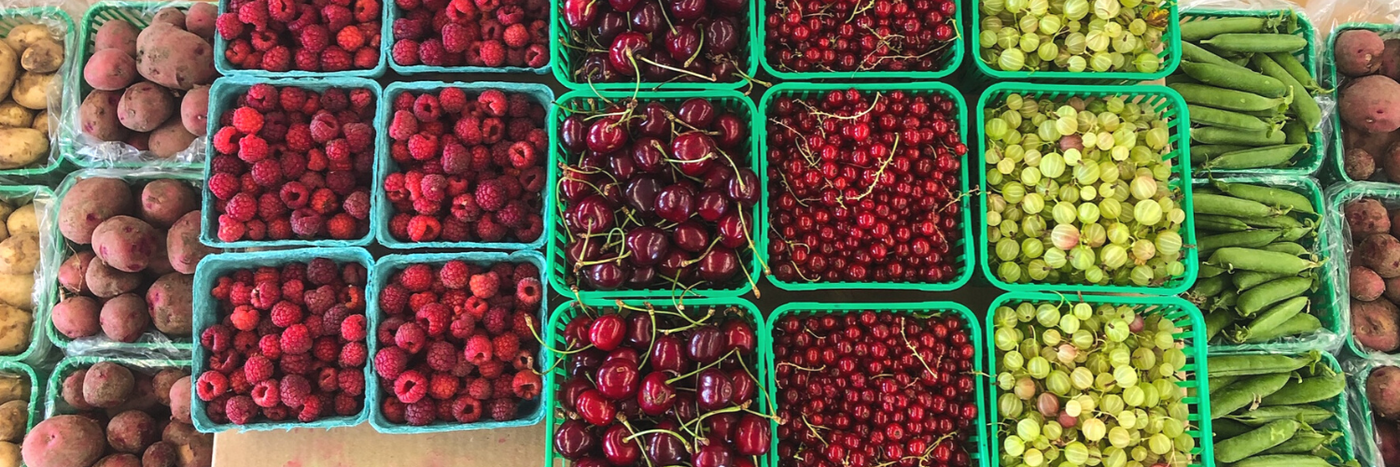 What's In Season