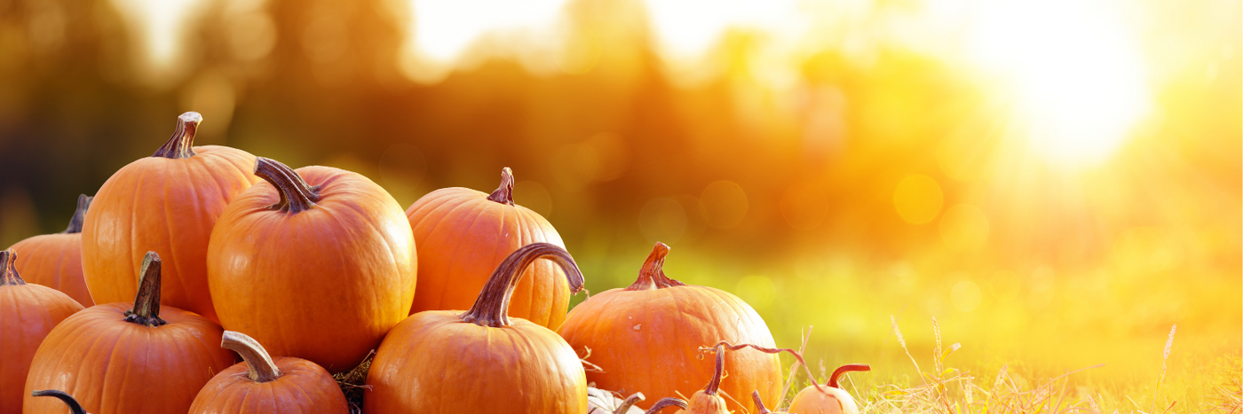 What's In Season