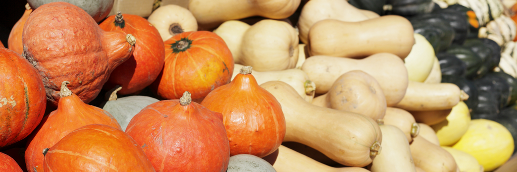 Winter Squash