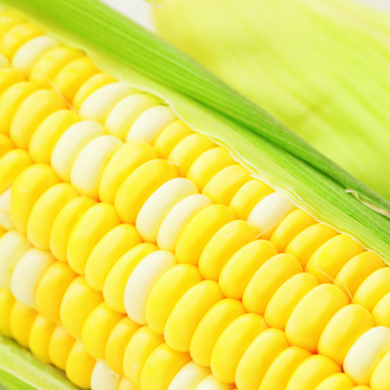 What's In Season
