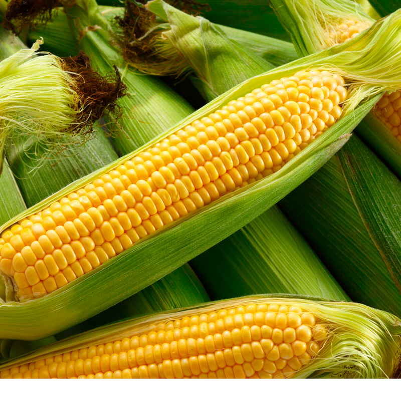 What's In Season
